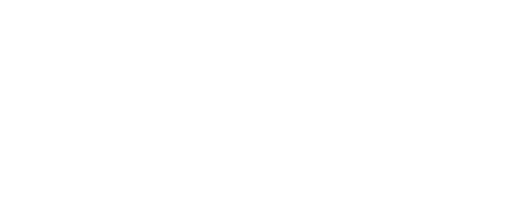 ricardo león dueñas logo